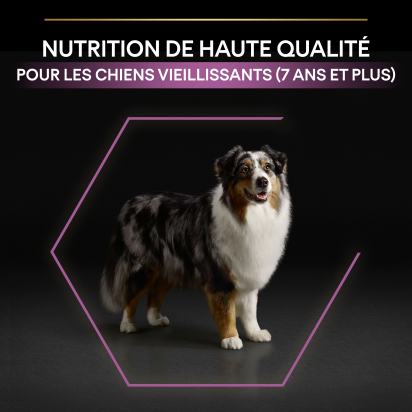 PRO PLAN Chien Medium&Large Adult 7+ Age Defence Poulet 14KG
