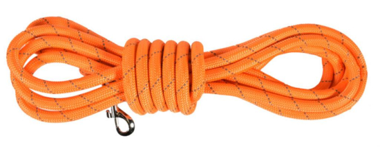 LONGE 5M WALK ORANGE