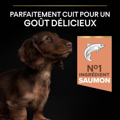 PRO PLAN Chien Small&Mini Puppy Sensitive Skin Saumon 3KG
