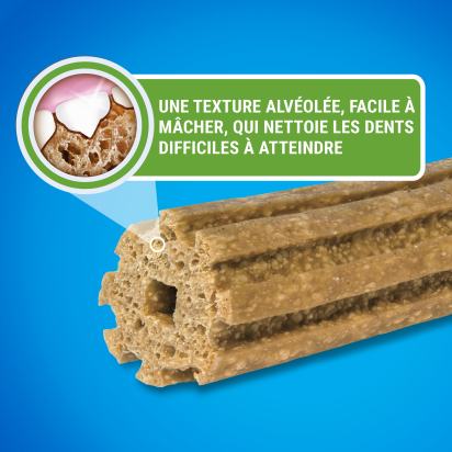 DENTALIFE Maxi Maxi Pack 12 Friandises