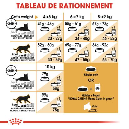 ROYAL CANIN MAINE COON ADULT CHAT A PARTIR DE 15 MOIS 10KG