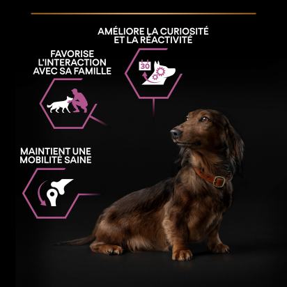 PRO PLAN Chien Small&Mini Adult 9+ Age Defence Poulet 3KG