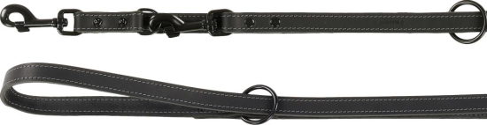 LAISSE ENTRAINEMENT NOIR 2M 20MM