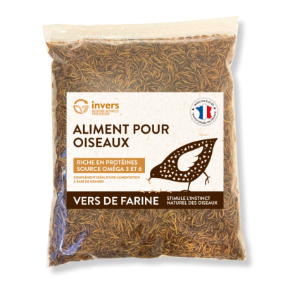 VERS DE FARINE DESHYDRATES 2.5KG 