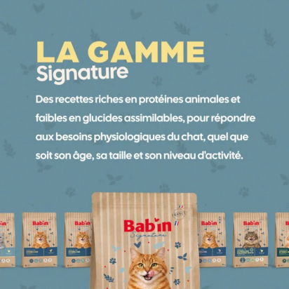 BAB'IN SIGNATURE CHAT SENIOR STERILISE 3 KG