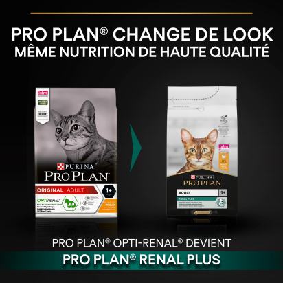 Pro Plan Adult RENAL PLUS Poulet 3kg