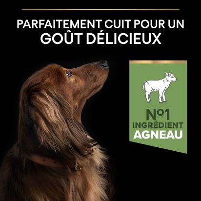PRO PLAN Chien Small&Mini Adult Sensitive Digestion Agneau 3KG