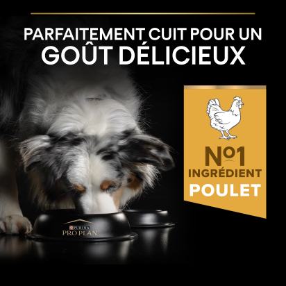 PRO PLAN Chien Medium Adult Everyday Nutrition Poulet 14KG