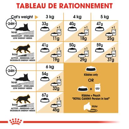 ROYAL CANIN PERSIAN ADULT PERSAN A PARTIR DE 12 MOIS 4KG