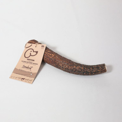EKTOR  BOIS DE CERF ENTIER TAILLE XL