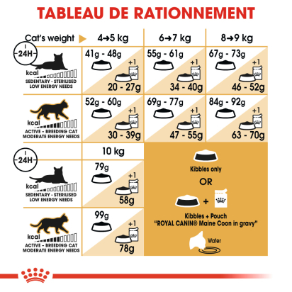 ROYAL CANIN MAINE COON ADULT CHAT A PARTIR DE 15 MOIS 10KG
