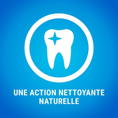 DENTALIFE Maxi Maxi Pack 12 Friandises