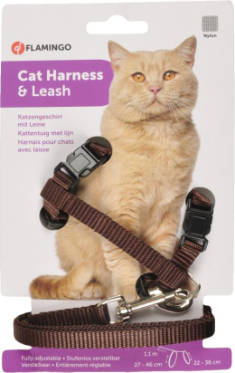 HARNAIS CHAT ZIGGI BRUN