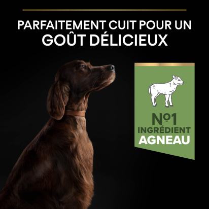 PRO PLAN Chien Large Adult Athletic Sensitive Digestion Agneau 14KG