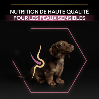 PRO PLAN Chien Small&Mini Puppy Sensitive Skin Saumon 3KG