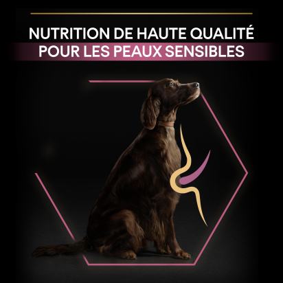 PRO PLAN Chien Large Adult Athletic Sensitive Skin Saumon 14KG