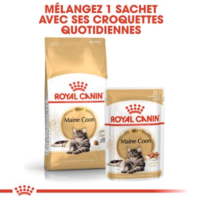 ROYAL CANIN MAINE COON ADULT CHAT A PARTIR DE 15 MOIS 10KG