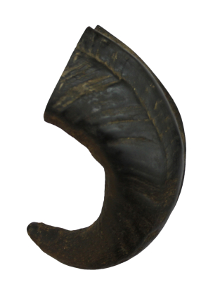 Corne de buffle M 230g Bubimex