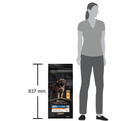 PRO PLAN Chien Large Adult Robust Everyday Nutrition Poulet 14KG