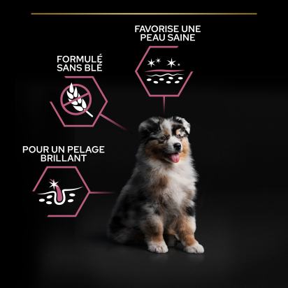 PRO PLAN Chien Medium Puppy Sensitive Skin Saumon 12KG