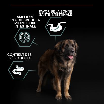 PRO PLAN Chien Large Adult Robust Sensitive Digestion Agneau 14KG
