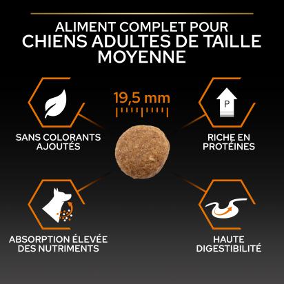 PRO PLAN Chien Large Adult Robust Everyday Nutrition Poulet 14KG