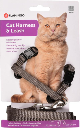 HARNAIS CHAT ZIGGI TAUPE