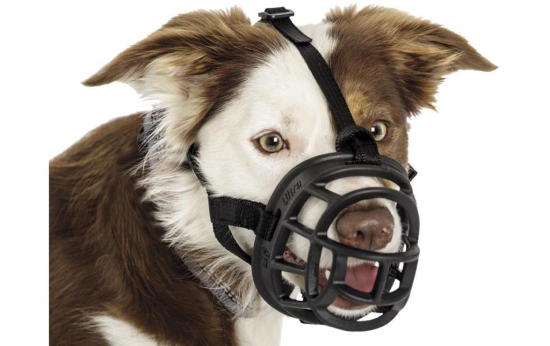 MUSELIERE BASKERVILLE ULTRA T1