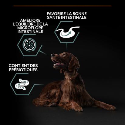 PRO PLAN Chien Large Adult Athletic Sensitive Digestion Agneau 14KG