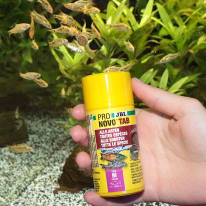 JBL PRONOVO TAB M 100ml - Cachets pour poissons de fond