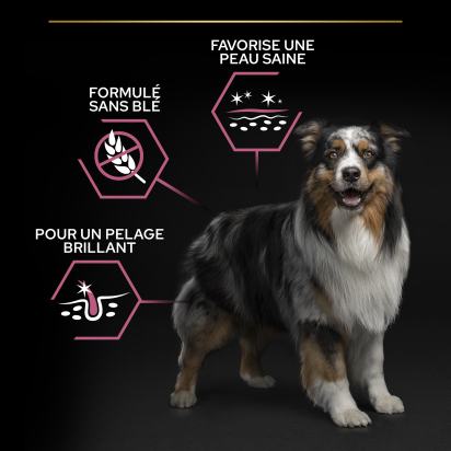 PRO PLAN Chien Medium Adult Sensitive Skin Saumon 14KG
