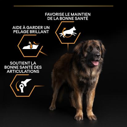 PRO PLAN Chien Large Adult Robust Everyday Nutrition Poulet 14KG