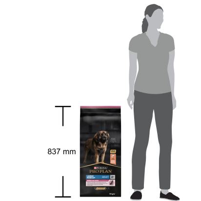 PRO PLAN Chien Large Adult Robust Sensitive Skin Saumon 14KG
