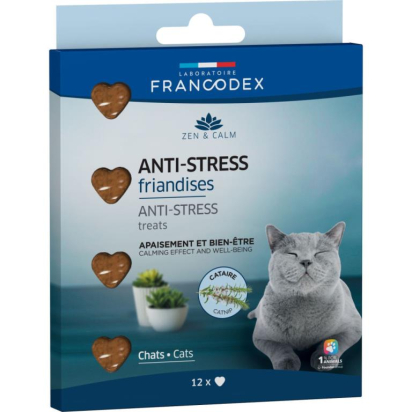 JELLIES ANTI-STRESS CHATx12