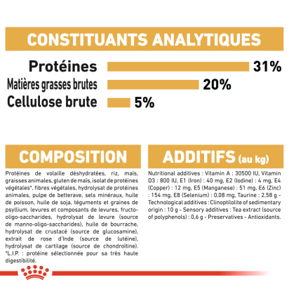 ROYAL CANIN MAINE COON ADULT CHAT A PARTIR DE 15 MOIS 10KG