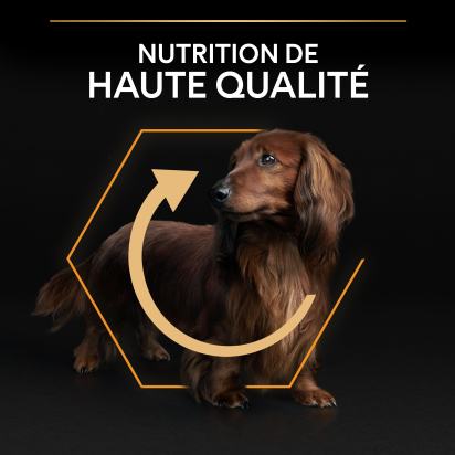PRO PLAN Chien Small&Mini Adult Sensitive Skin Saumon 3KG