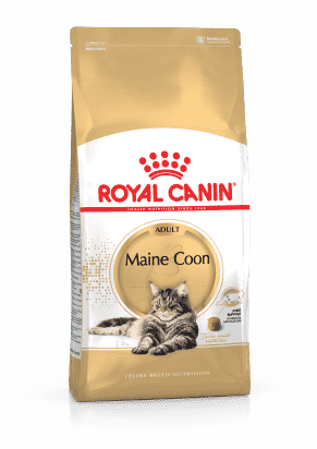 ROYAL CANIN MAINE COON ADULT CHAT A PARTIR DE 15 MOIS 10KG