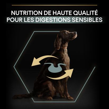 PRO PLAN Chien Large Adult Athletic Sensitive Digestion Agneau 14KG