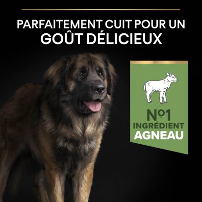 PRO PLAN Chien Large Adult Robust Sensitive Digestion Agneau 14KG