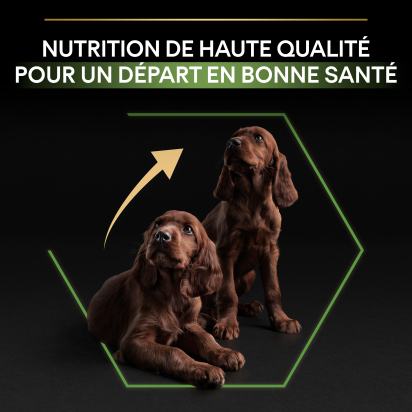 PRO PLAN Chien Large Puppy Athletic Healthy Start Poulet 12KG