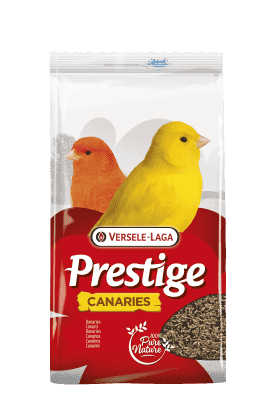 Prestige Canaris 4kg
