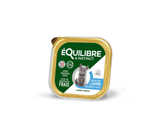 Mousses riches en saumon & aux carottes pour CHATON