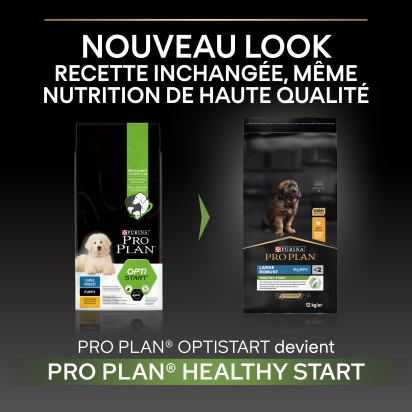 PRO PLAN Chien Large Robust Puppy Healthy Start Poulet 12KG