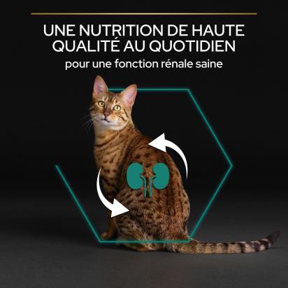 Pro Plan Adult RENAL PLUS Poulet 3kg