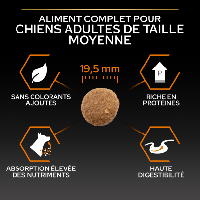 PRO PLAN Chien Large Adult Robust Everyday Nutrition Poulet 14KG