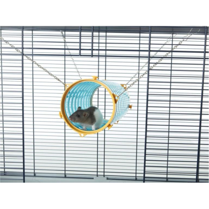 TUNNEL POUR RATS ET FURETS