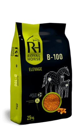 B 100 25KG Aliment granulé pour chevaux d’élevage