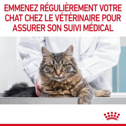 ROYAL CANIN APPETITE CONTROL SAUCE CHAT ADULTE FAVORISE LA SATIETE
12x85gr 