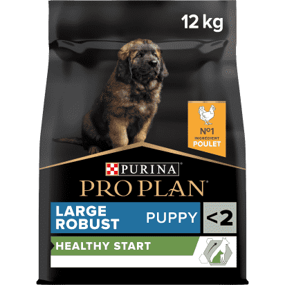 PRO PLAN Chien Large Robust Puppy Healthy Start Poulet 12KG