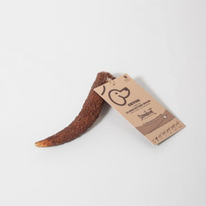 EKTOR  BOIS DE CERF ENTIER TAILLE S